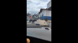 Street Sweepers in Imperatriz (MA) Spread Joy Dancing in Costume Through the Streets