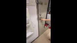 Where Did the Cat Go?