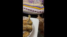 A Criminal Cat
