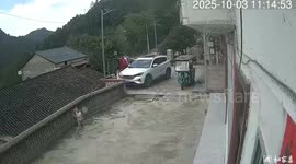 The Boy Was Saved From the Pig