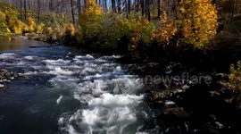 Fall Along The North Umpqua River In Oregon