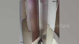 Hero neighbour saves dog hanging from lead in lift