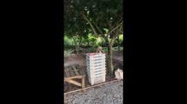 French bulldog wearing a sun hat sits in pile of crates