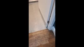 Showing my son the 'disco button' in a public toilet