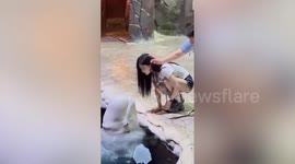 Beluga whale steals kiss from visitor at marine park