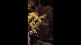 France: Storm Benjamin Brings Strong Winds, Alerts Issued for Several Areas 4