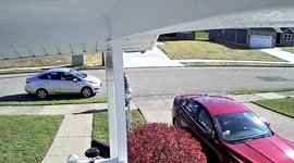 Excited Dog Jumps From Second-Story Window