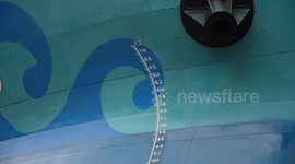 China: China launches world's largest all-electric river cargo ship