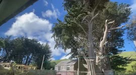 New Zealand: Rare Red Warnings Issued as Powerful Wind Storm Rips Through country