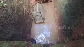 Leopard trapped in 25-foot-deep well rescued in swift 15-minute operation