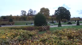Beautiful autumn day in Kensington Gardens as October paints trees in golden yellow