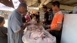 Khan Yunis After Gaza Ceasefire