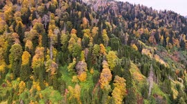Türkiye: Autumn colors blanket Ayder Plateau in northern Türkiye