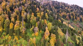 Autumn colors blanket Ayder Plateau in northern Türkiye