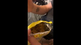 Large Funyun