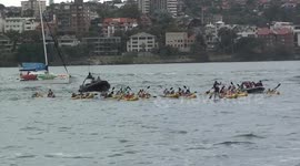Rising Tide activists kayak across Sydney Harbour to the Opera House to protest against fossil fuels and show support for Palestine