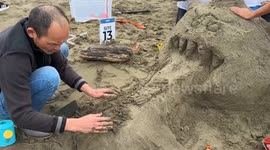 San Francisco hosts 43rd annual sandcastle contest (2)