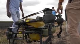 Mozambique: China-Africa agricultural cooperation boosts modern farming in Mozambique