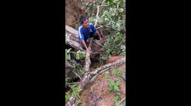 Kind passersby rescue calf stuck in ditch