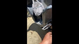 Motorcycle rider shocked to find puppy stuck inside the bike engine