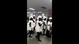 Girls in sheep costumes turns heads on escalator