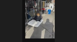 Even the Dog Got the Coat!