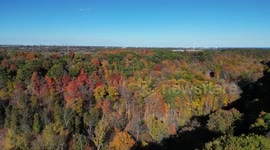 Drone captures breathtaking autumn scenes in Oakville, Canada