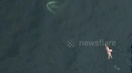 Surprise Encounter ! Whale surfaces near long-distance swimmer during iconic Robben island crossing, Cape Town, South Africa. On October 23, 2025, Texan swimmer Sunnye Collins completed the iconic 7.5 km Robben Island to Big Bay crossing near Cape Town, S