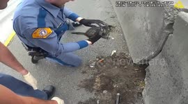 Washington State troopers rescue cat from freeway