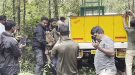 Wild Leopard Rescued near Udupi, Karnataka, India. Got trapped in a Fence !!