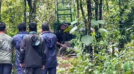 Wild Leopard Rescued near Udupi, Karnataka, India. Got trapped in a Fence Full Video !!