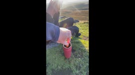 Hotdog Flask
