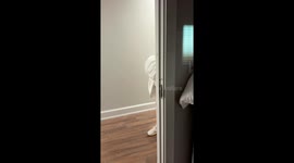 Mom Sneaks Labradoodle Into Dorm