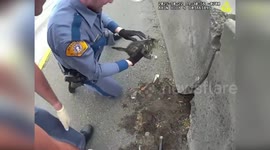 US: Troopers Rescue Stranded Kitten And Find It Loving Home