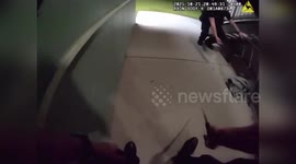 US: Alligator Found Slithering Through Apartment Hallway In Orlando