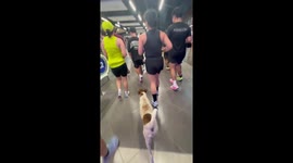 Stray dog joins fun run inside shopping mall