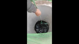 Passersby rescue dog stranded at the bottom of well