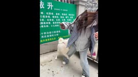 The Dog Won't Let Her Go