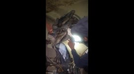 Deadly snake hidden under fuel tank of a bike in India