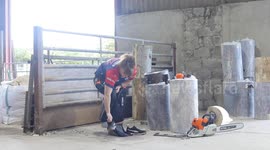 British female lumberjack smashes speed saw record to hack her way to global glory