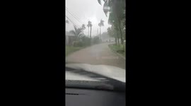 Steady rain and strong winds hit Serge Island farms in St. Thomas, Morant Bay, Jamaica