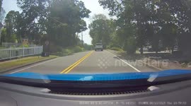 Tree Falling on Driver's Ed Car