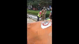 Two girls on electric scooter crash into wet cement in Hainan, China