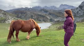 Woman startled by horse, fails to take photo in Asturias, Spain