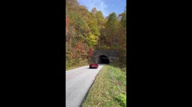 Peak fall colors light up the Blue Ridge Parkway in Asheville, North Carolina, USA