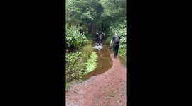 Man’s bag of towels falls into muddy puddle in Barcelona, Spain