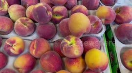 South Africa: South African stone fruit producers look to tap into Chinese market under new export deal