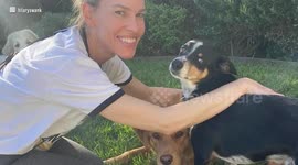 UNCAPTIONED: Hilary Swank mourns death of beloved dog Kai