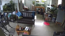 Philippines Earthquake Rattles Fish Tanks