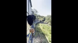Sunglasses Falling From Train